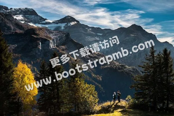 ⊞ Portfolio - 九游huataihao